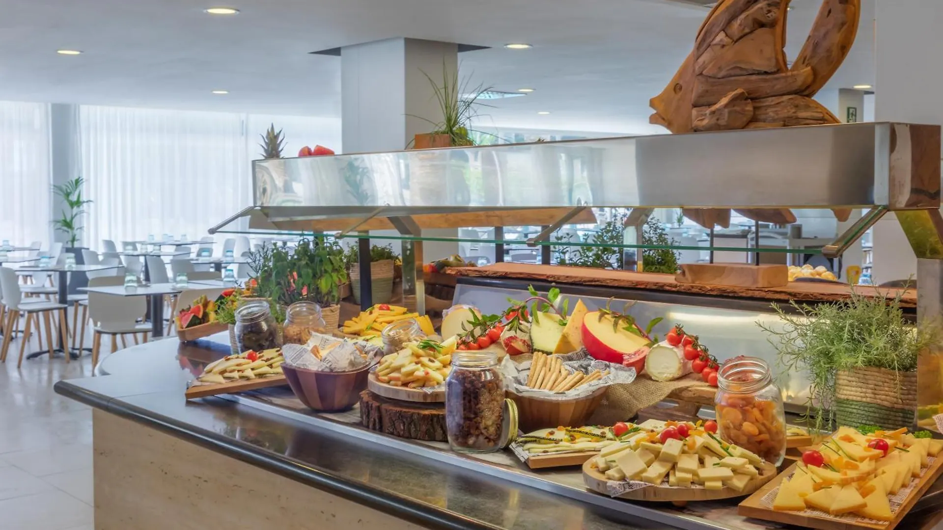 Hotel Sol Palmanova Mallorca